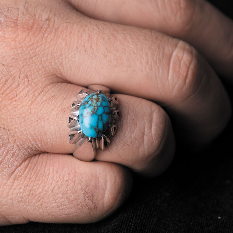 نمایی از نگین فیروزه شجری