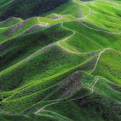 مکانی متفاوتی از نظر آب و هوا،خاک، پوشش گیاهی و جانوری نسبت به سایر نقاط شمال ایران