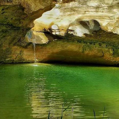 چشمه بیدو از مناطق بکر موجود در مسیر رود شبانکاره‌ بوشهر