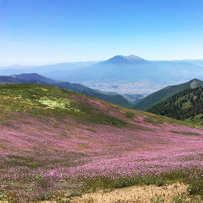 دشت سلانسر از جاذبه‌های دیدنی و بکر دامنه‌های روستای رودبار در استان گیلان است.