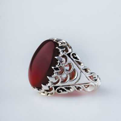 رکاب دستساز نقره، مدل فیلی با طرح پولکی (هنر استاد حاج رضایی)