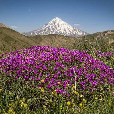 دشت لار دماوند یا پارک ملی لار از مناطق بکر و گردشگری موجود در مرز دو استان تهران و مازندران است.