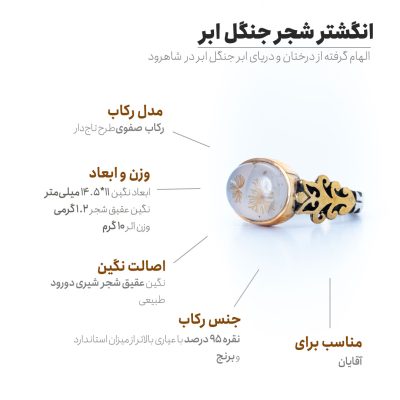 اینفوگرافی انگشتر شجر جنگل ابر