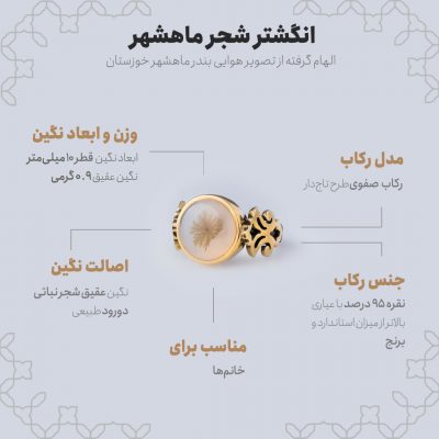 اینفوگرافی انگشتر شجر ماهشهر