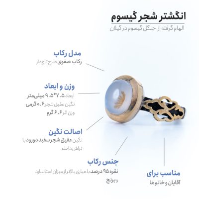 اینفوگرافی انگشتر شجر گیسوم