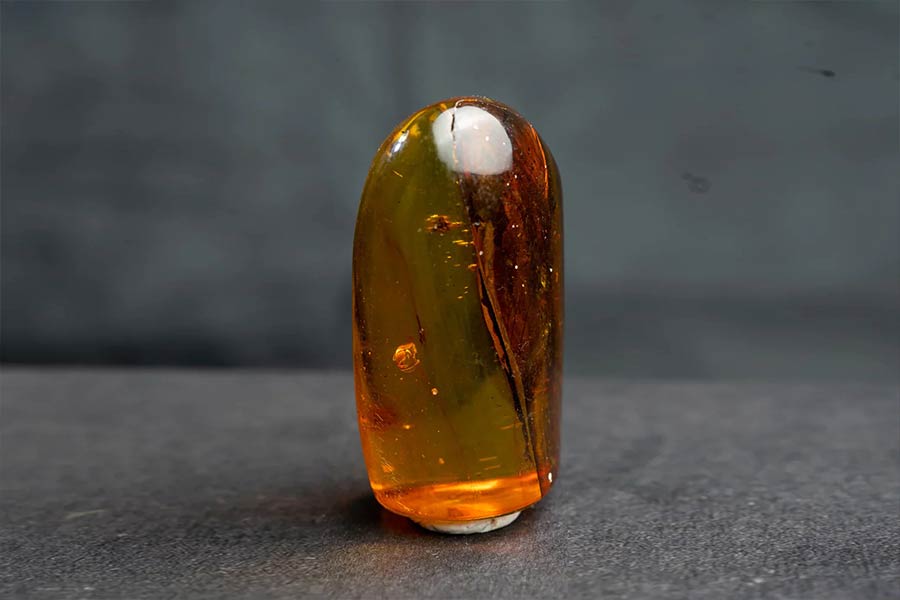 کهربای مکزیکی