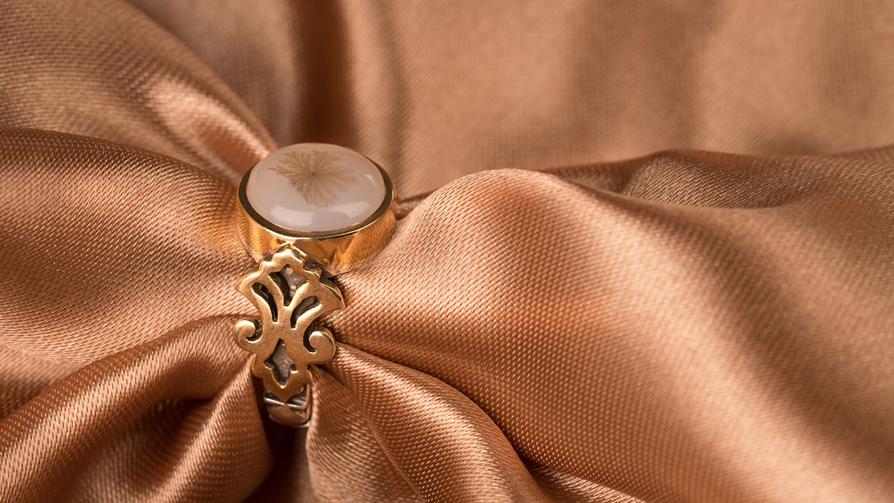 تشخیص شجر اصل