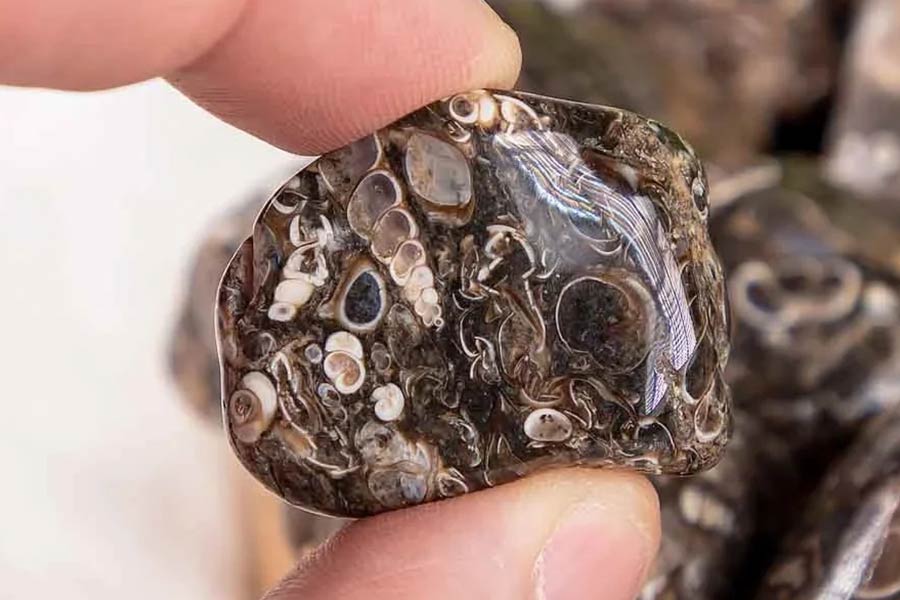 عقیق توریتلا